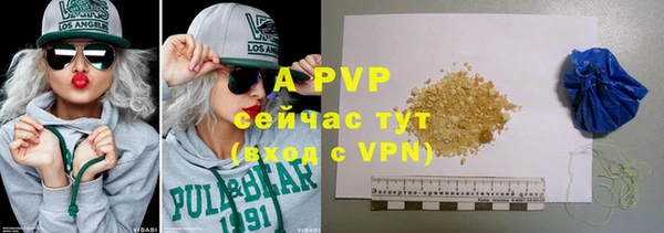 PSILOCYBIN Бронницы