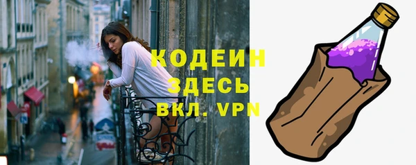амф Бородино