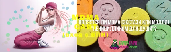 амф Бородино