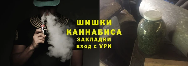 PSILOCYBIN Бронницы