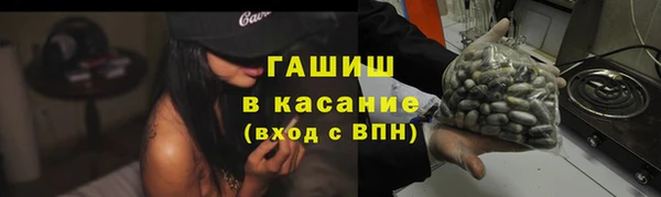 амф Бородино
