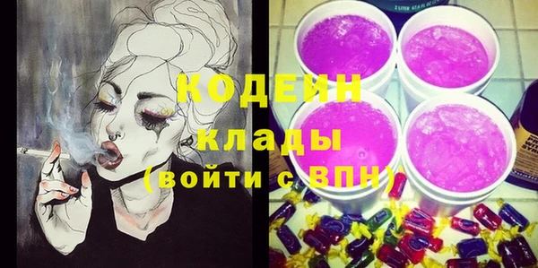 амф Бородино