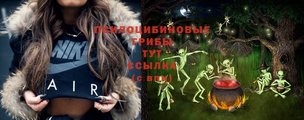 амф Бородино