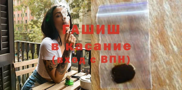 амф Бородино