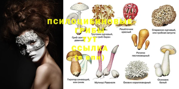 прущая мука Бугульма