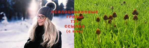 амф Бородино