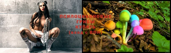 PSILOCYBIN Бронницы