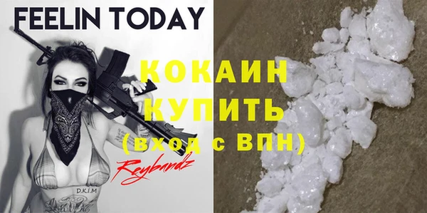 амф Бородино