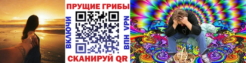 Галлюциногенные грибы мицелий  дарнет шоп  Малаховка 